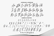 The Vintage | Script Font, a Script Font by Scratchones (Thumbnail 3 of 8)