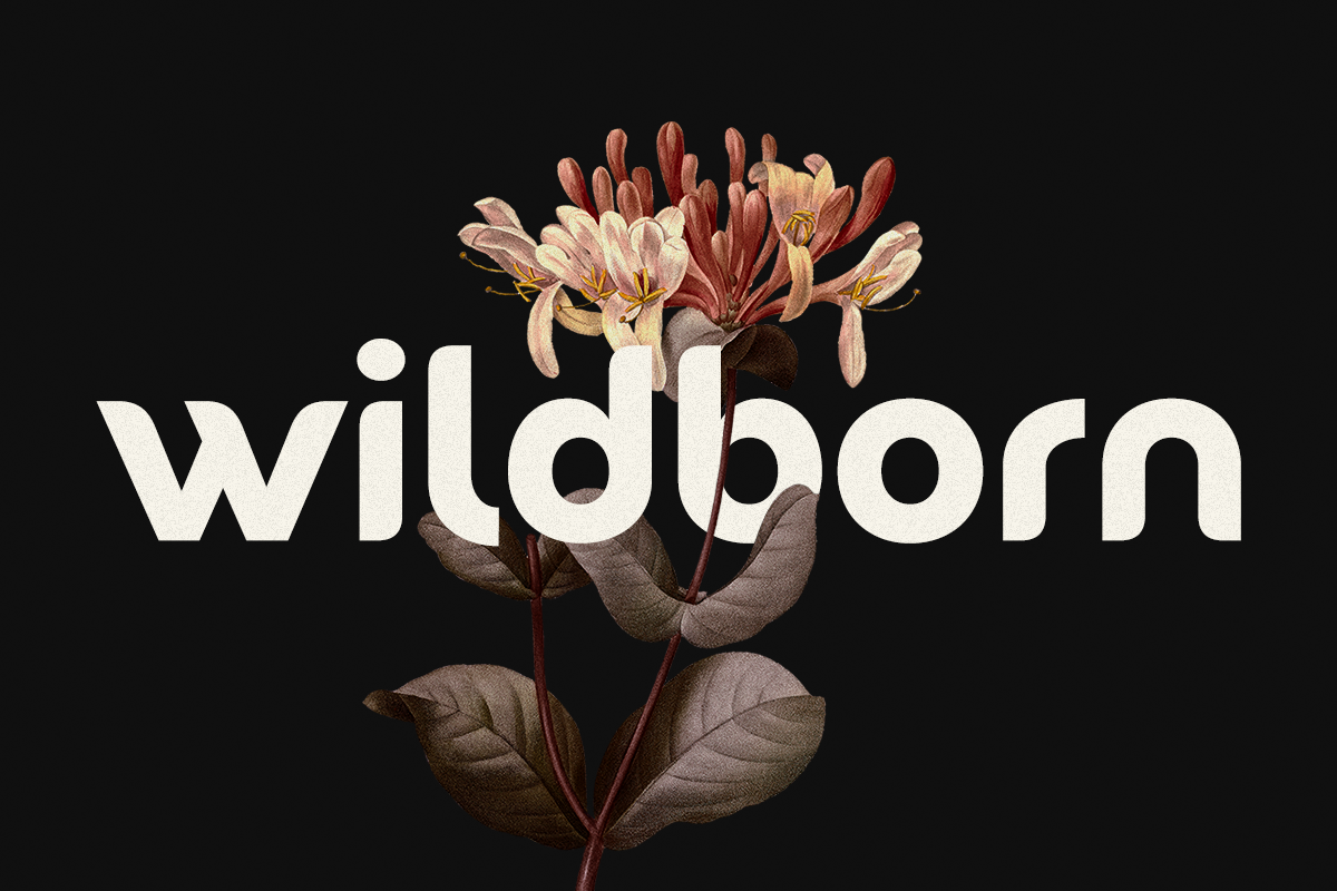 Wildborn - Logo Font, a Sans Serif Font by Umitype (Photo 11 of 11)
