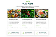 Organic Farm Food Elementor Template, a WordPress Template by HasnainDEV (Thumbnail 6 of 7)