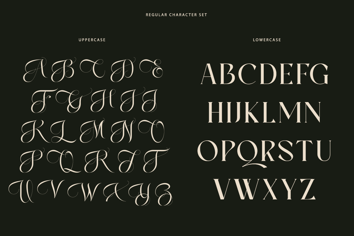 Ever Lasting - Modern Serif Font, a Serif Font by RagamKata (Photo 11 of 13)