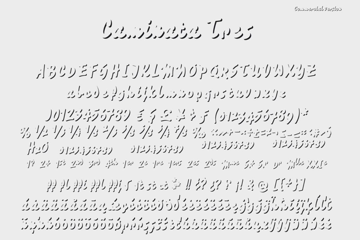 Caminata fonts preview 7