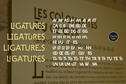Dilectus, a Script Font by TeGeType foundry (Thumbnail 6 of 8)