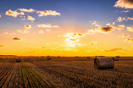 A field with haystacks at sunset., a Nature Photo by Eugene_Photo