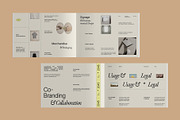 Aesthetic Brand Guidelines - AEE, a Branding & Logo Template by fakhroo (Thumbnail 9 of 13)