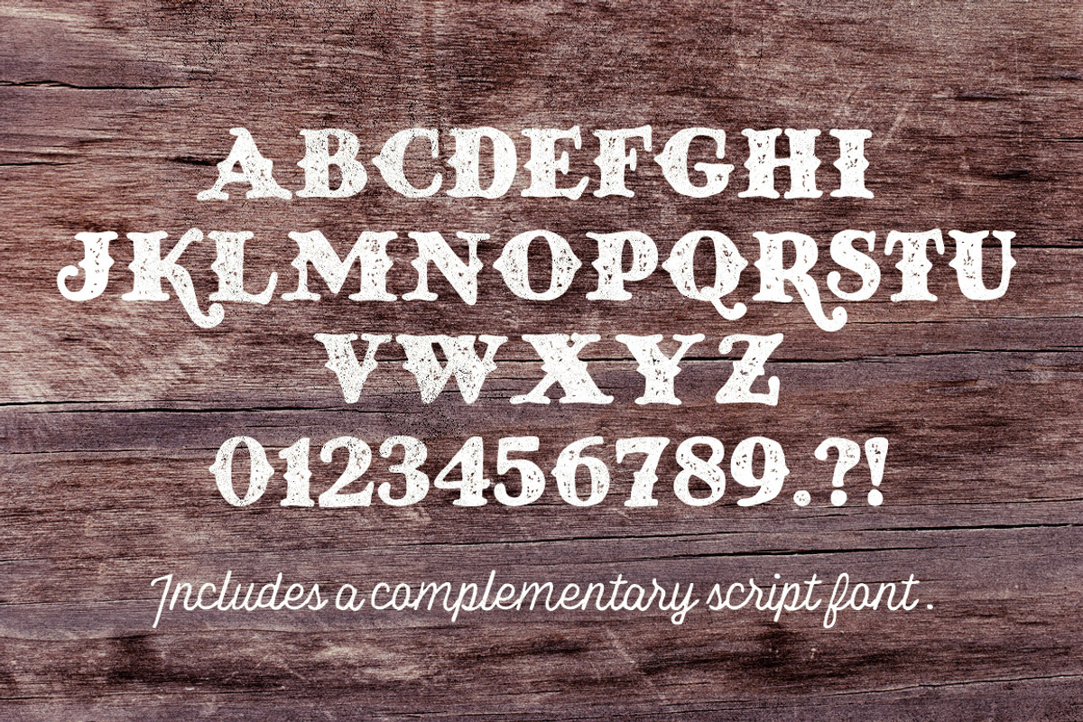 North Western Font + Vectors Vol 2 preview 4