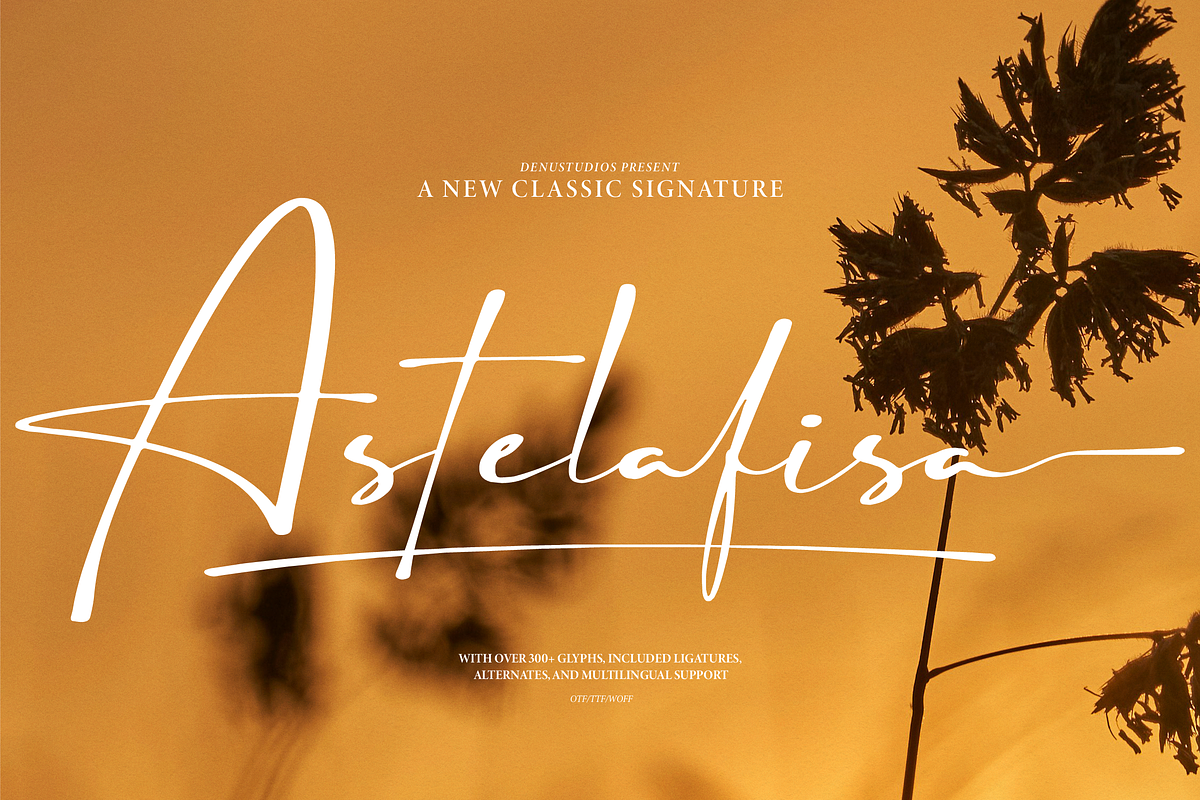 Astelafisa | Classic Signature Font, a Script Font by Denustudios (Photo 1 of 12)