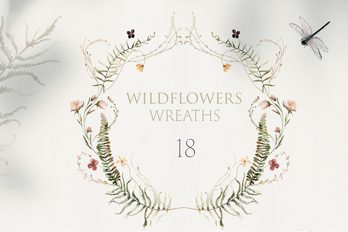 Wildflowers Watercolor Collection, a Decorative Illustration by Les Frolova (Photo 4 of 12)
