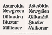 Bright Melody A Display Typeface, a Serif Font by zeenesia (Thumbnail 11 of 18)