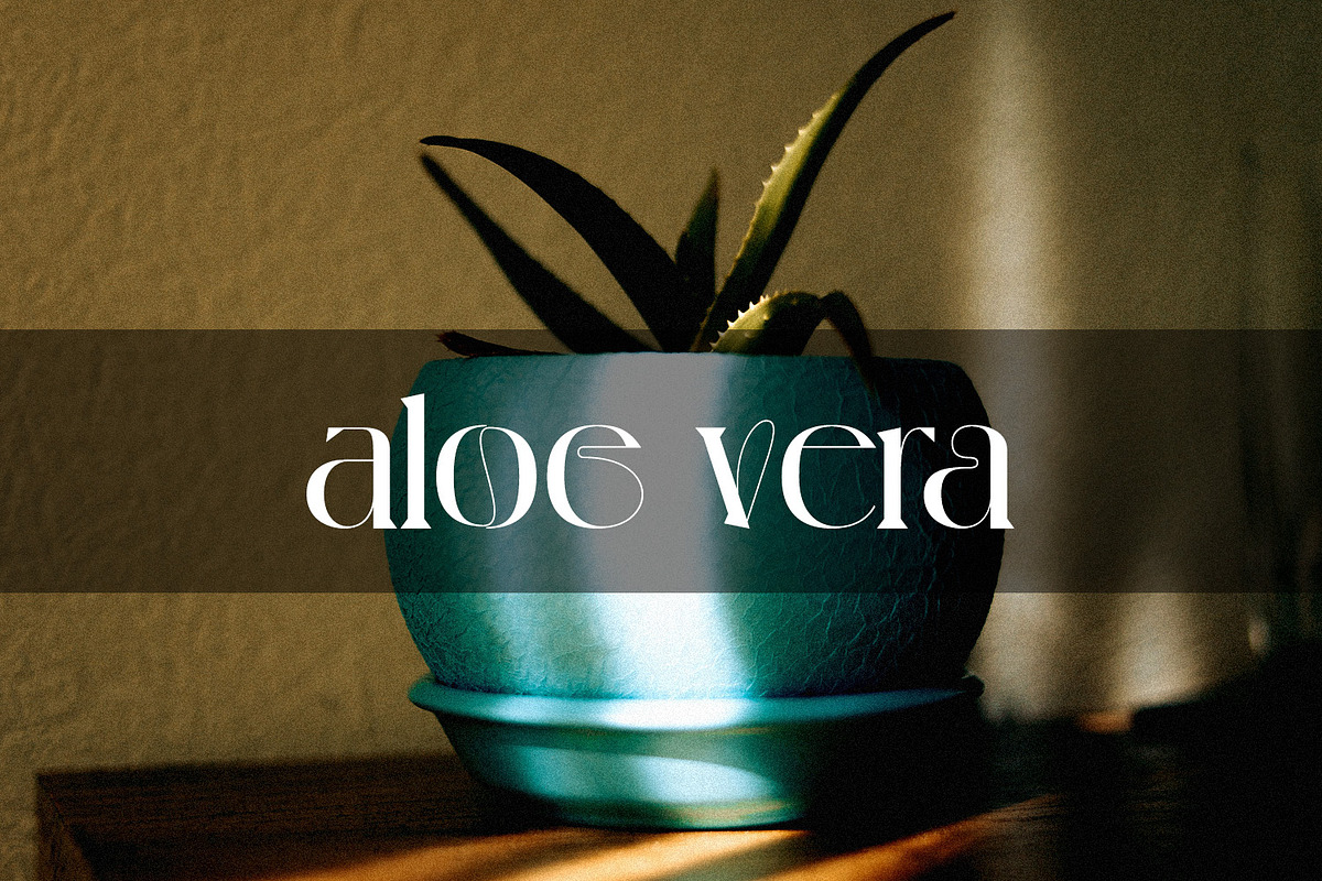 Michiya, a Serif Font by MJtypefoundry (Photo 6 of 11)