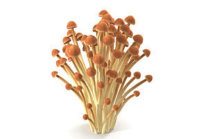 Brown Enoki Mushrooms