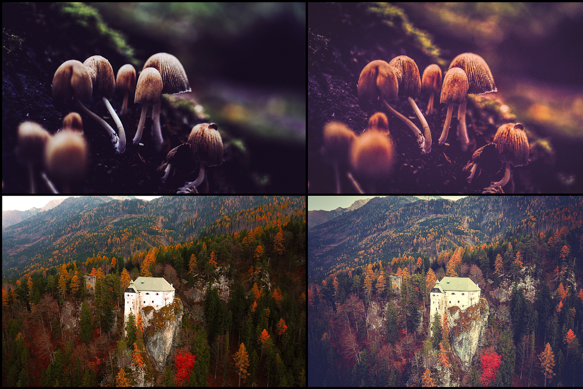 7000+ Professional Lightroom Presets, a Layer Style Add-On by Eldamar Studio (Photo 6 of 33)