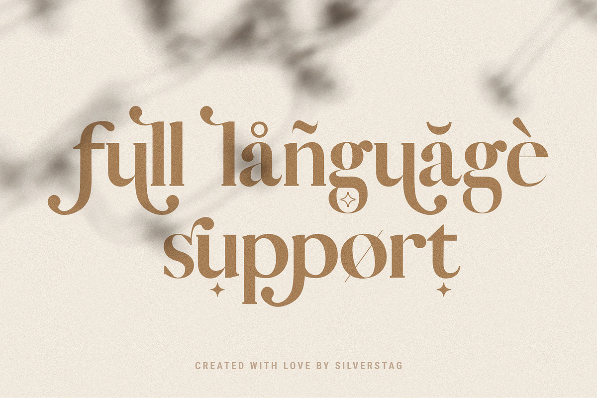 Vicky Christina Ligature Serif Font, a Serif Font by SilverStag Type Foundry (Photo 16 of 25)