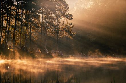 Reservoir and pine trees in the morning in the park, a Photo by Art Rachen
