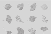 Leaf Tones Vol. 6 | Stippled Flora, a Texture Illustration by invisiblelayer (Thumbnail 2 of 5)