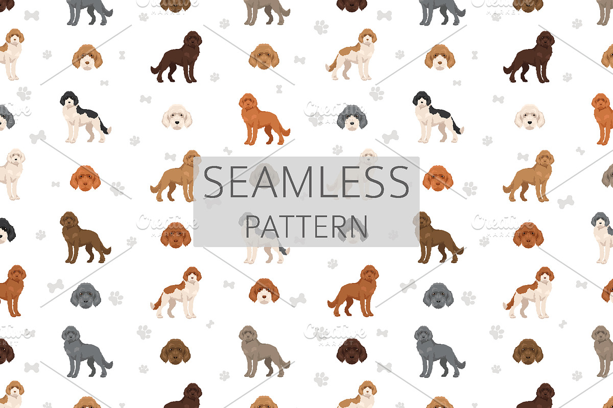 Vizsladoodle (Vizsla Poodle mix), an Animal Illustration by pet design shop (Photo 6 of 6)