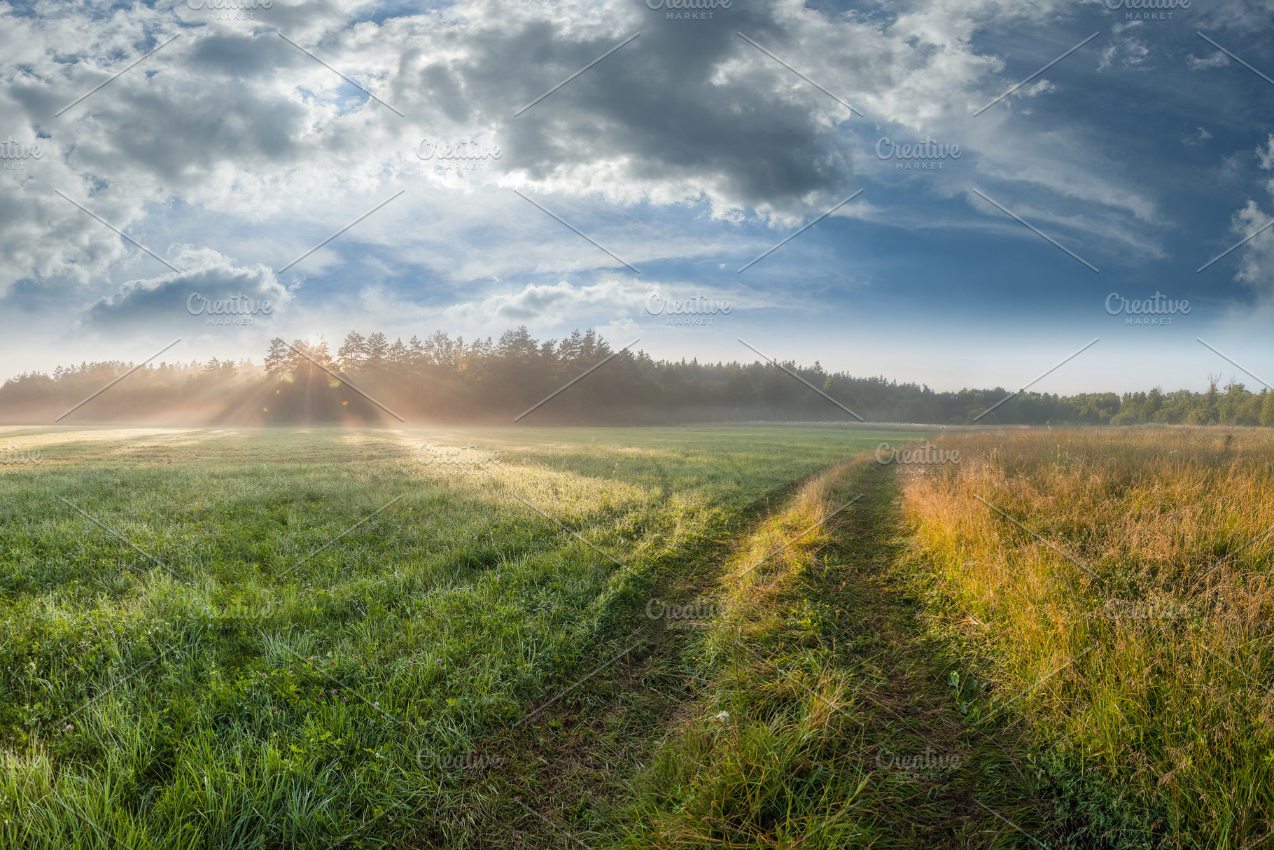 Landscape with Road and Meadows, a Nature Photo by firewings