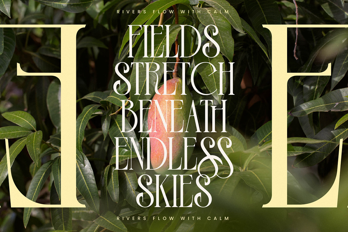 Leodarck New Modern Display Serif, a Serif Font by timelesstype.co (Photo 7 of 20)