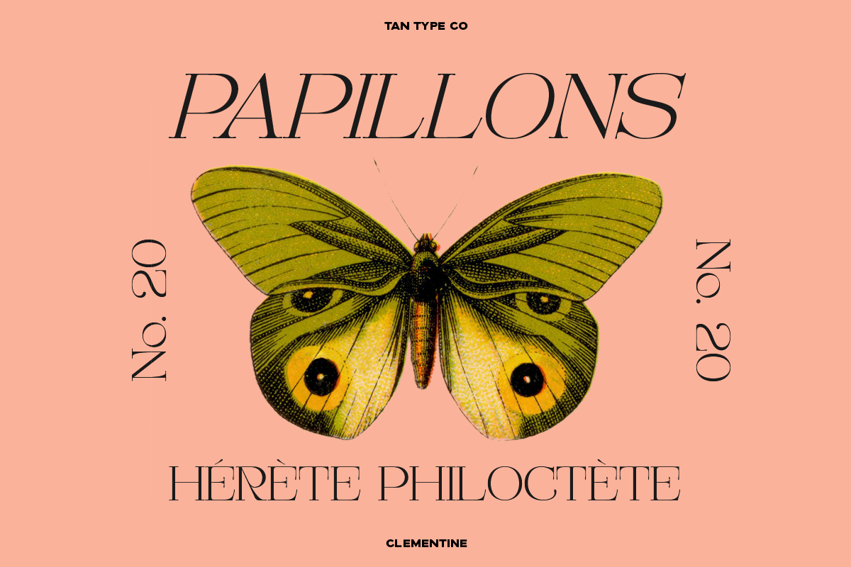 TAN - CLEMENTINE, a Serif Font by TanType (Photo 17 of 20)