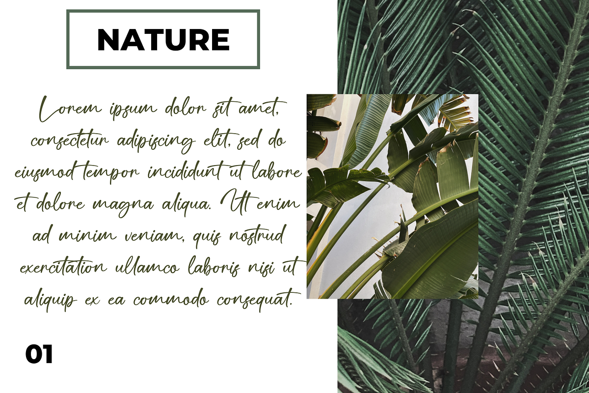 Senllich Handwritten Font, a Handwritten Font by Basnistudio (Photo 5 of 14)