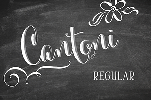 Cantoni Hand Lettered Font