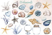 Shells, beach watercolor set., an Illustration by Larisa Maslova (Thumbnail 9 of 13)