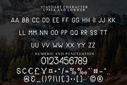 Special Present, a Sans Serif Font by InermediaSTUDIO (Thumbnail 3 of 8)