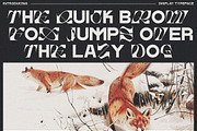 Krone - Mixed Font, a Serif Font by executypeStudio (Thumbnail 4 of 11)