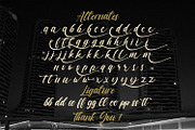 Vagnotie - Modern Brush Font, a Script Font by StringLabs (Thumbnail 11 of 11)