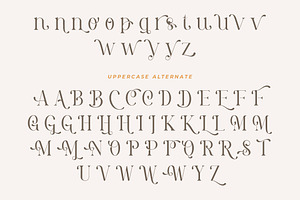 Pastel Orange - Casual Serif Fonts