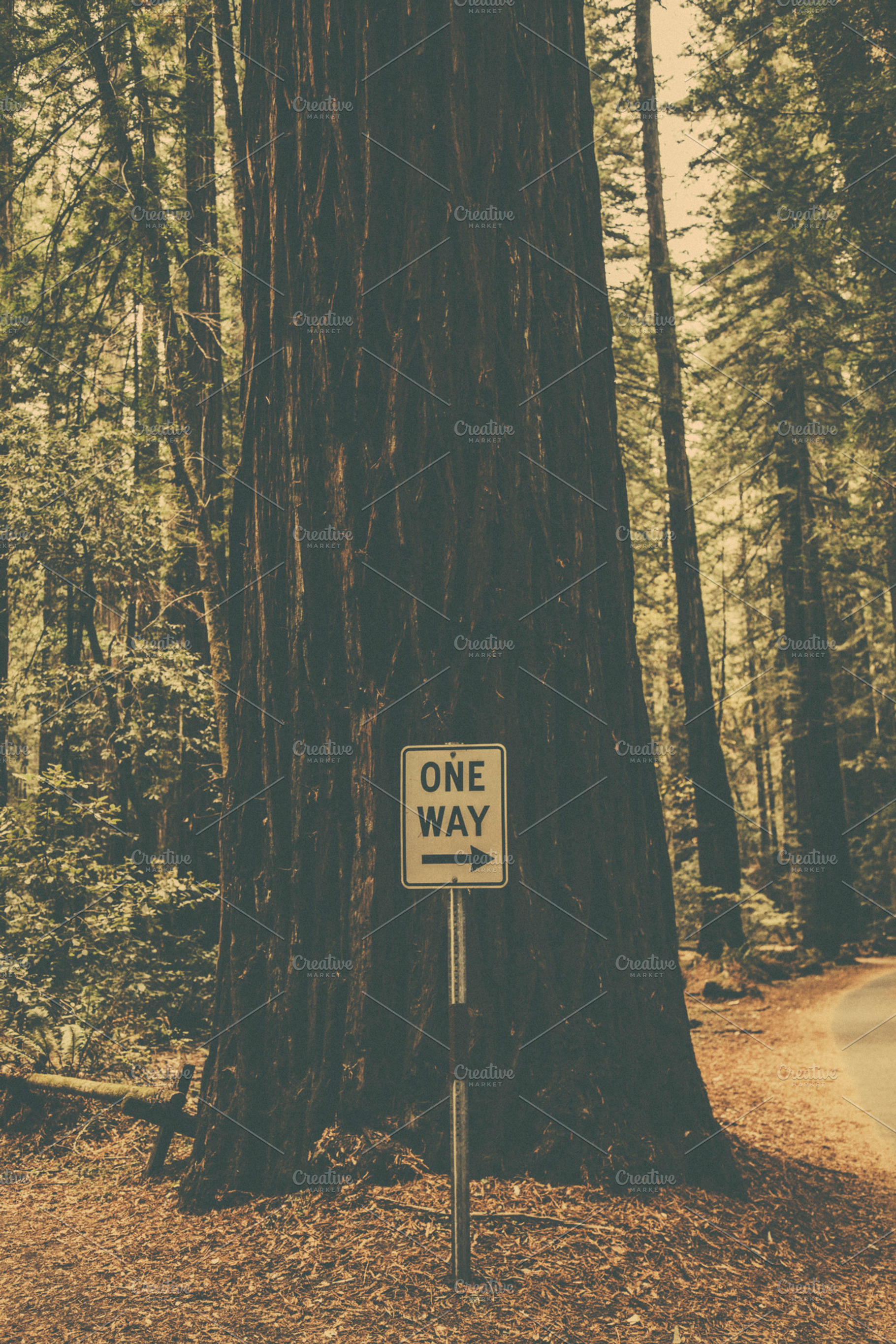 One Way Sign Stock Photo Containing California And Red Wood
