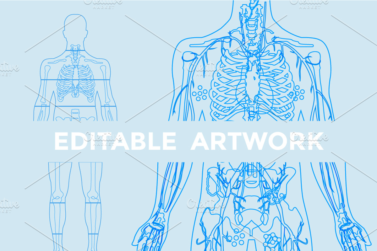 Human Body Anatomy, a Healthcare Illustration by Rekanice (Photo 3 of 3)