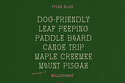 WILLOUGHBY by Tyler Elise, a Serif Font by tylerelise (Thumbnail 4 of 7)