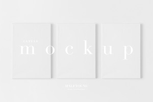 Set Of 3 Canvas Mockup