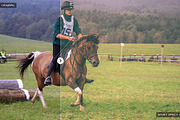 100+ Sports Effect Lightroom Presets, an Action Add-On by Creativetacos (Thumbnail 2 of 5)