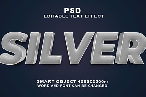 Silver PSD 3D Editable Text Effect