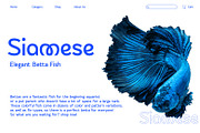 SS Flowkey - Loopy Sans Font, a Sans Serif Font by Typocracy Studio (Thumbnail 6 of 11)