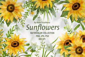 Sunflowers Watercolor Collection
