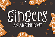 Gingers Slab Serif Font, a Slab Serif Font by Denise Chandler (Thumbnail 1 of 7)