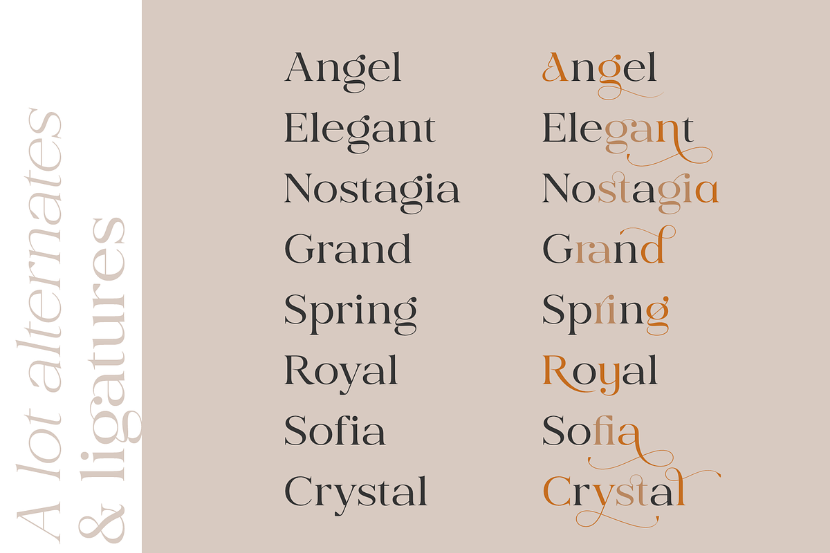 Valdo Font Family, a Serif Font by Larin Type Co. (Photo 12 of 15)
