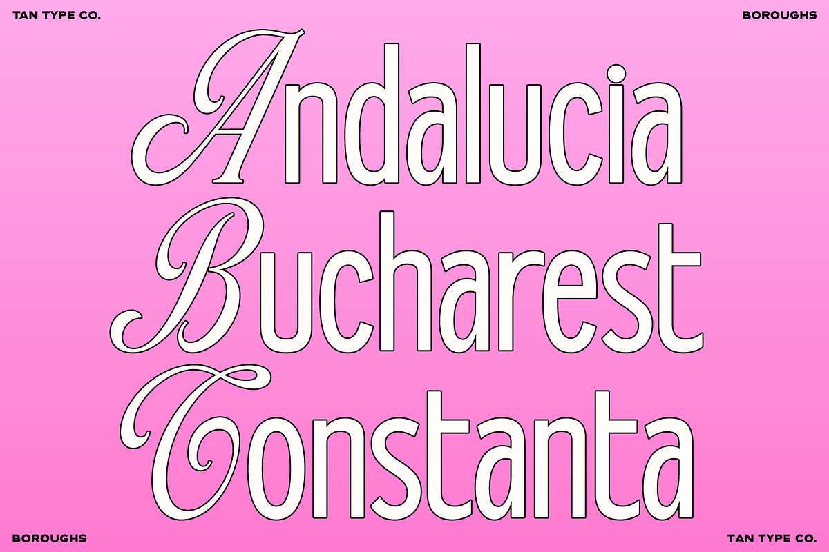 TAN - BOROUGHS, a Serif Font by TanType (Photo 2 of 10)