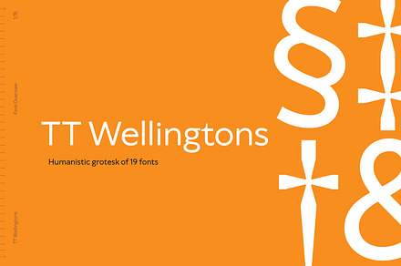 TT Wellingtons