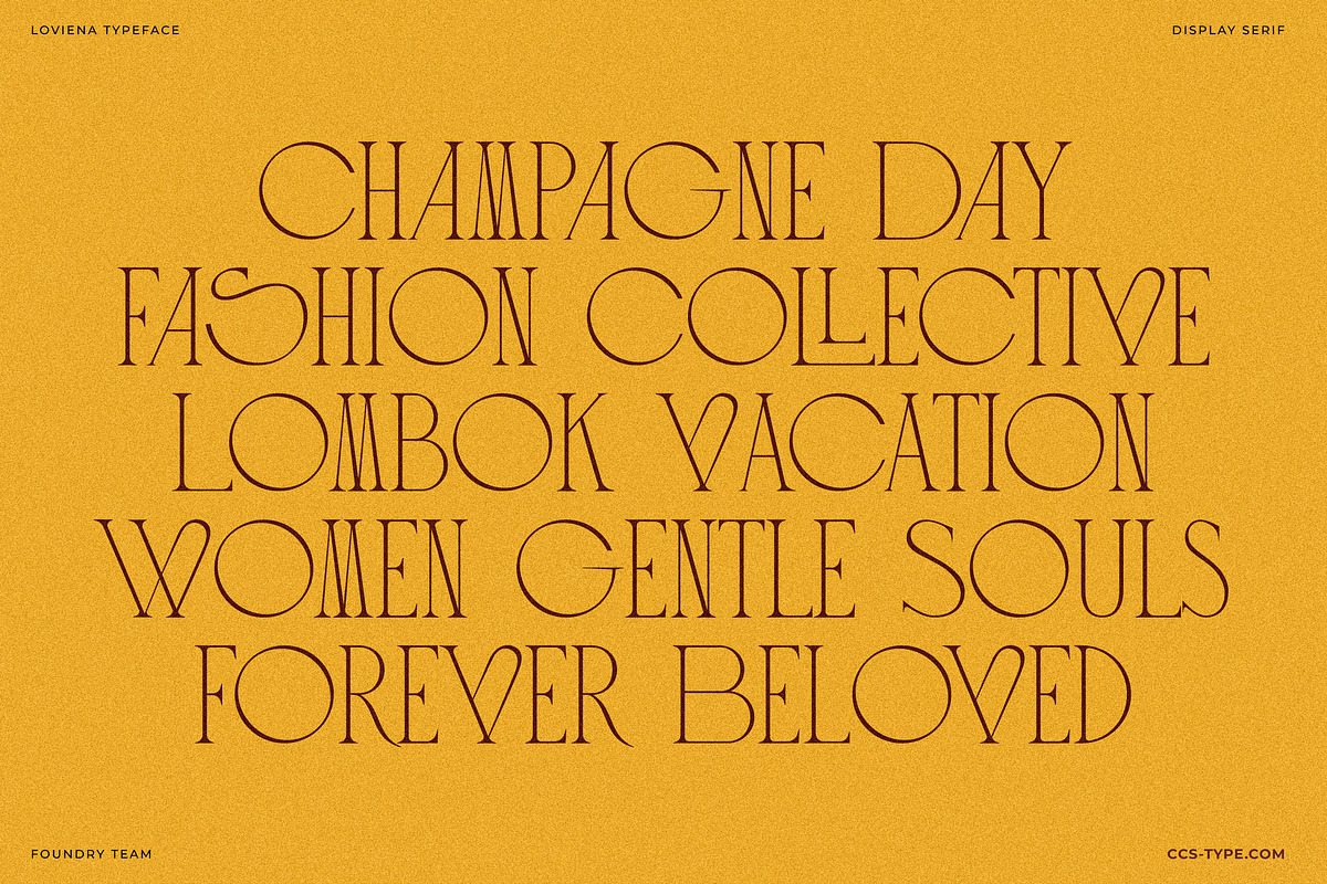 Loviena Rose - Stylish Serif, a Serif Font by CCS Type (Photo 4 of 25)