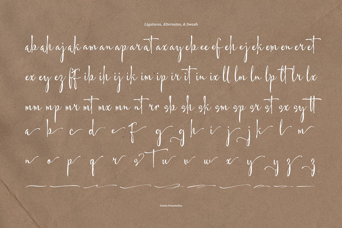 Harfey Lim Classic Signature Script, a Script Font by Denustudios (Photo 13 of 13)