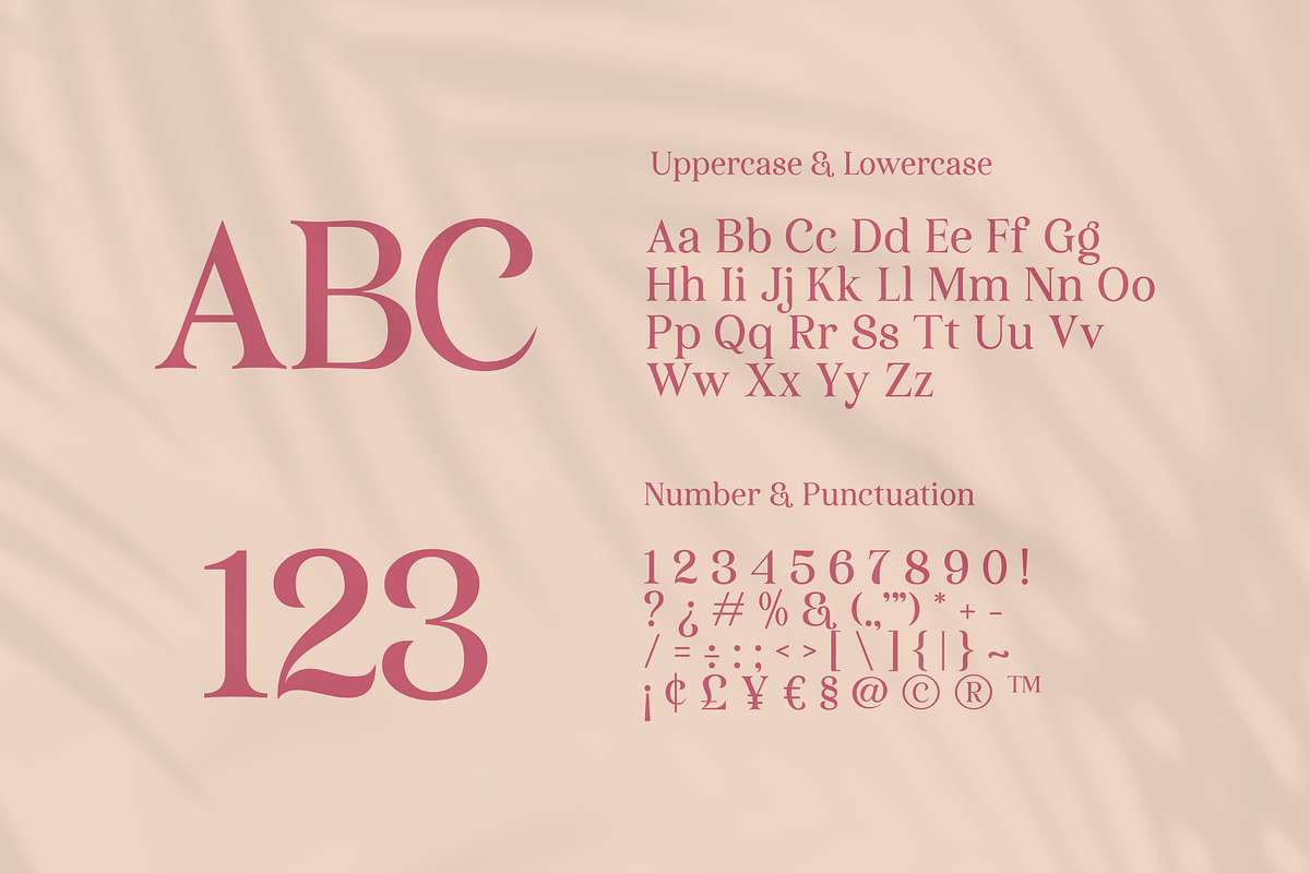 Velparde Janeiro - Modern Serif Font, a Serif Font by Artchitype Studio (Photo 20 of 26)