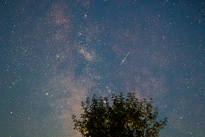 Milky way and tree