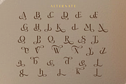 Gekarlo - Modern Stylish Fancy, a Serif Font by Qweera Studio (Thumbnail 11 of 12)