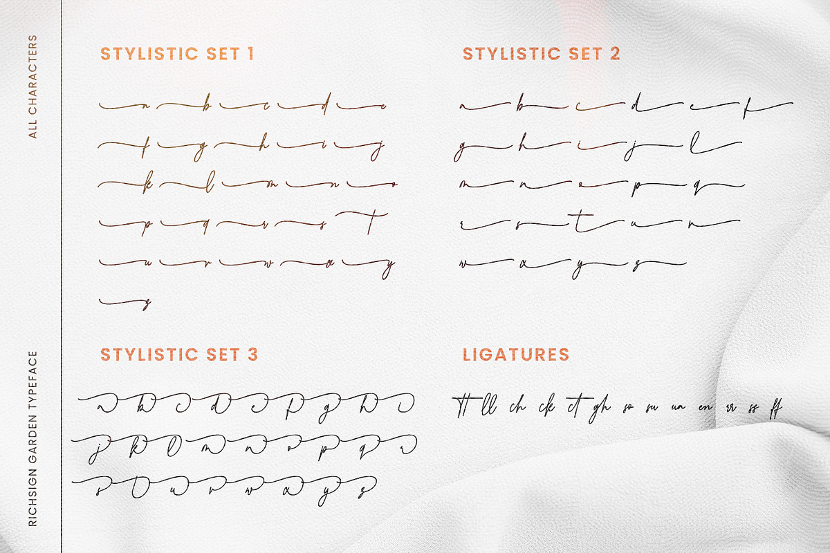 Richsign Style, a Script Font by din-studio.com (Photo 10 of 11)