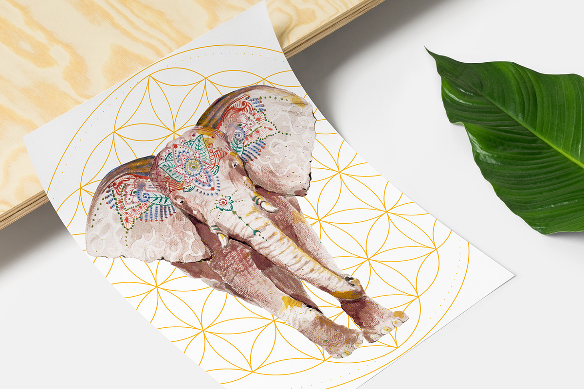 Watercolor Animals Set, an Animal Illustration by Flo Sacred Art (Photo 3 of 11)