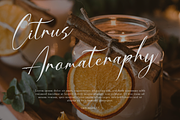 Dialmeray | Elegant Calligraphy Scri, a Script Font by gracetype_studio (Thumbnail 3 of 12)