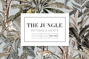 The Jungle, Exquisite Patterns